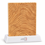 Fingerprint Arch Model